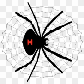 Spiderweb Clipart Vector - Cartoon Drawing Black Widow Spider, HD Png Download - spider web vector png