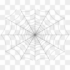 Transparent Background Spider Web Transparent, HD Png Download - spider web vector png