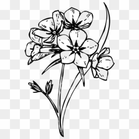 Floral Design /m/02csf Cut Flowers Drawing - Flower Drawing No Background, HD Png Download - flowers drawing png