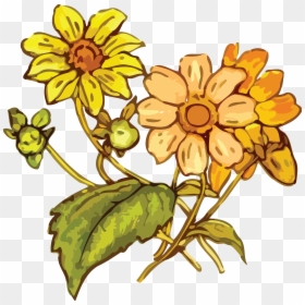 Transparent Wildflowers Png - Yellow Flowers Drawing, Png Download - flowers drawing png