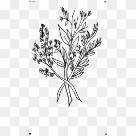 Beautiful Flowers 2019 » Wild Flower Drawing - Flower Drawing Transparent Background, HD Png Download - flowers drawing png