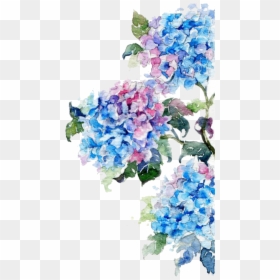 Watercolor Painting Flower Drawing Watercolor Flowers - Watercolor Flowers Blue Png, Transparent Png - flowers drawing png