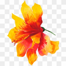 Flower Yellow Watercolor Painting Drawing - Yellow Watercolour Flowers Png, Transparent Png - flowers drawing png