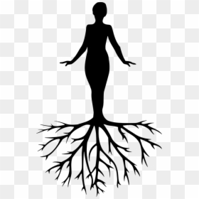 Women Tree Yoga Meditation Harmony Silhouette, HD Png Download - women silhouettes png