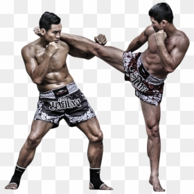 Muay Thai Png - Kick Boxing Png, Transparent Png - boxing ring ropes png
