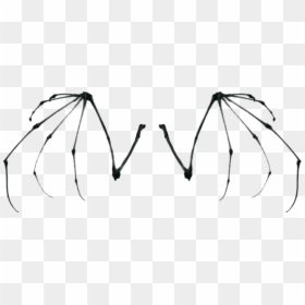 Bat Wing Skeleton, HD Png Download - bat wing png