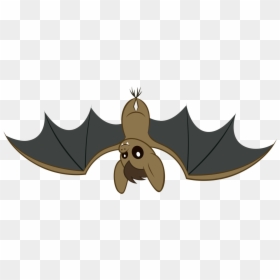 Wing Clipart Animal Wing - Mlp Bat Vector, HD Png Download - bat wing png