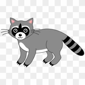 Cute Grey Raccoon Free - Raccoon Clipart, HD Png Download - class dojo png