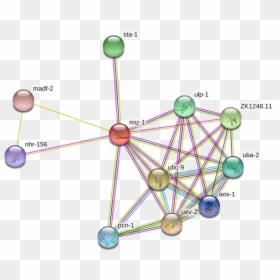 Miz-1 Protein - Circle, HD Png Download - miz png