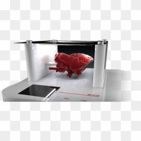 Made To Order Heart & Organ Model - Led-backlit Lcd Display, HD Png Download - realistic heart png