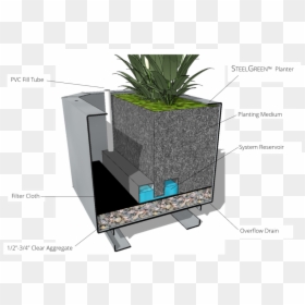 Houseplant, HD Png Download - planters png