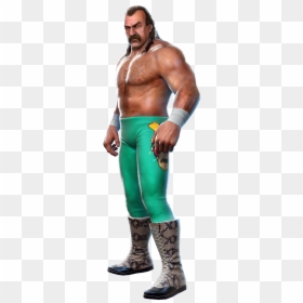 Jake The Snake Wwe Wrestler, HD Png Download - miz png