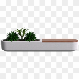 Houseplant, HD Png Download - planters png