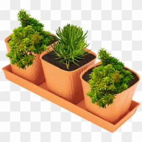 Flowerpot, HD Png Download - planters png