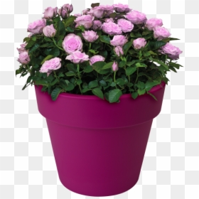 Planter With Flower Hd, HD Png Download - planters png