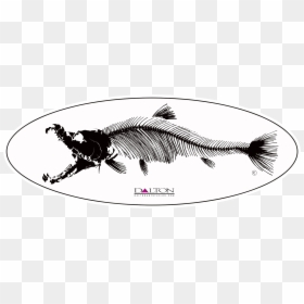 Illustration, HD Png Download - spawn logo png