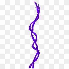 #vine #thorns #plant #floral #carlafritze #freetoedit - Purple Vines With Thorns Png, Transparent Png - thorn vine png