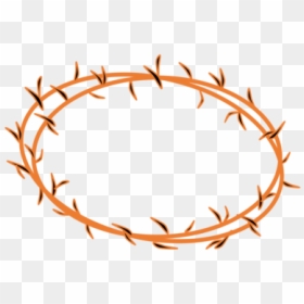 Thorncrown Chapel Crown Of - Crown Of Thorns Png Free, Transparent Png - thorn vine png