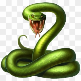 Smooth Green Snake Clipart Pear - Green Snake Png, Transparent Png - snake emoji png