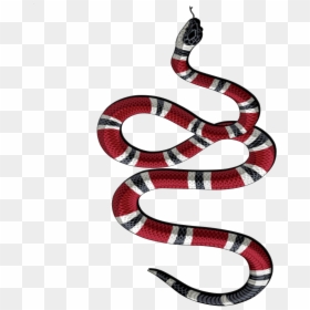 Tattoo Transparent Background - Gucci Logo Transparent Background, HD Png Download - snake emoji png