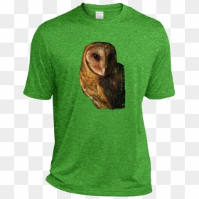 Owl Face Png Barn Owl Face Dri Fit Moisture Wicking - T-shirt, Transparent Png - bernie sanders face png