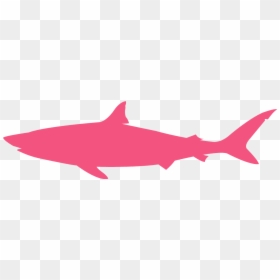 Bull Shark Silhouette, HD Png Download - shark silhouette png