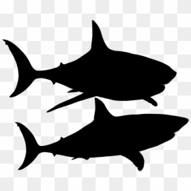 Shark Silhouette - High Resolution Sharks Hd, HD Png Download - shark silhouette png