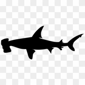 "  Class="lazyload Lazyload Mirage Cloudzoom Featured - Hammerhead Shark Silhouette Png, Transparent Png - shark silhouette png