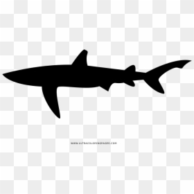 Shark Coloring Page - Carcharhiniformes, HD Png Download - shark silhouette png
