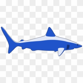 Shark, HD Png Download - shark silhouette png