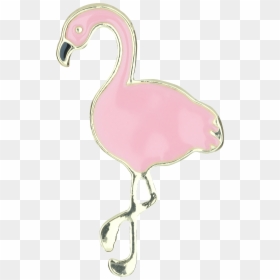 Greater Flamingo, HD Png Download - pink flamingo png