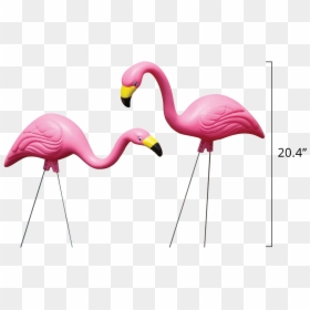 Flamingos In Pink - Flamingo Garden, HD Png Download - pink flamingo png