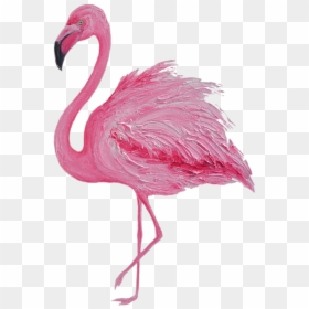 Pink Flamingo, HD Png Download - pink flamingo png