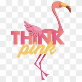 Greater Flamingo, HD Png Download - pink flamingo png
