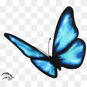 Life Is Strange Clipart Blue Butterfly Tattoo - Blue Butterfly From Life Is Strange, HD Png Download - butterfly net png