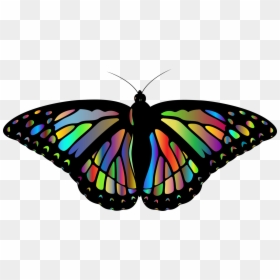 Monarch Butterfly Drawing - Rainbow Monarch Butterfly Png, Transparent Png - butterfly net png