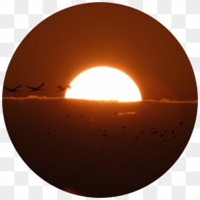 Circle, HD Png Download - sun outline png