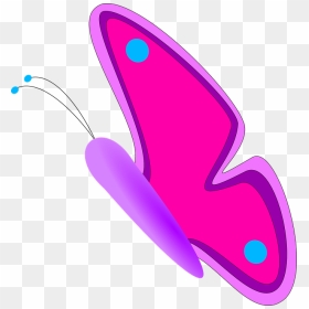 Butterfly 47 Flower Linkedin Valentine 555px - Butterfly Clip Art, HD Png Download - butterfly net png