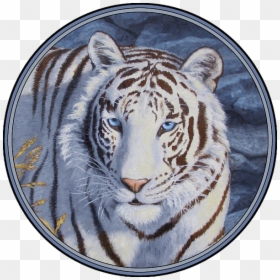 White Tiger With Blue Eyes, HD Png Download - tiger eyes png