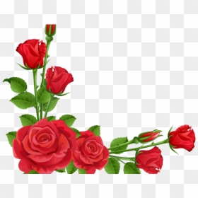 Beautiful Flower Border Designs For School Projects, HD Png Download - rose heart png