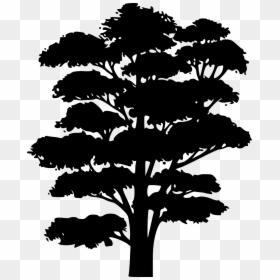 Tree Black Background Cartoon, HD Png Download - large tree png