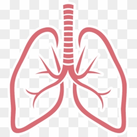Clip Art Respiratory System Lung Sacs Clipart No Background - Lungs Clipart Png, Transparent Png - lung cancer ribbon png