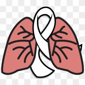 The Wrong Lottery - Lungs Drawing Transparent Background, HD Png Download - lung cancer ribbon png
