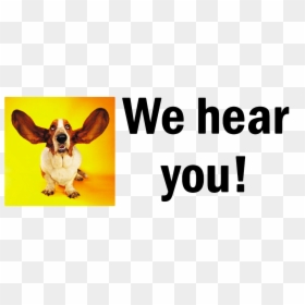 Imgur - Thank You For Listening Funny Dogs, HD Png Download - angry vein png