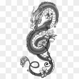 Tattoo Japanese Dragon Drawing Chinese Dragon - Transparent Dragon Tattoo Png, Png Download - japanese tattoo png