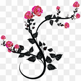Floral Vines Clip Art - Black And Pink Roses Clipart, HD Png Download - flower vines png
