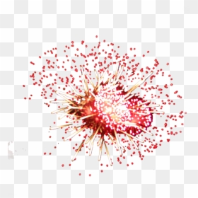 Feu Artifice Rouge Png, Transparent Png - red fireworks png
