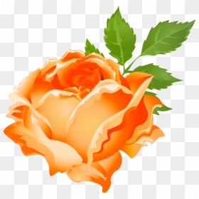 Rose Clipart Stick - Orange Rose Flower Clipart Png, Transparent Png - rose clip art png