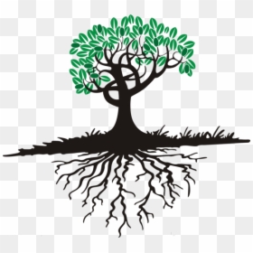 Tree With Roots Cartoon, HD Png Download - tree root png