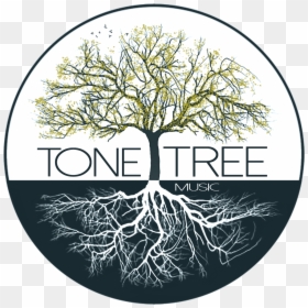 Vector Root Music - Tree And Music, HD Png Download - tree root png